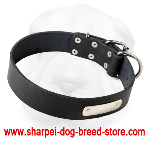 Shar Pei Breed Leather Collar with ID Tag