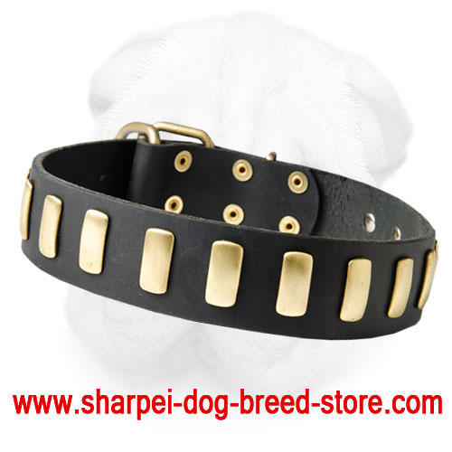 Gorgeous Wide Leather Dog Collar With Plates for Shar Pei