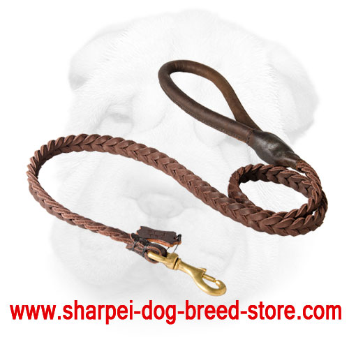 Braided Genuine Leather Leash for Shar Pei Activities