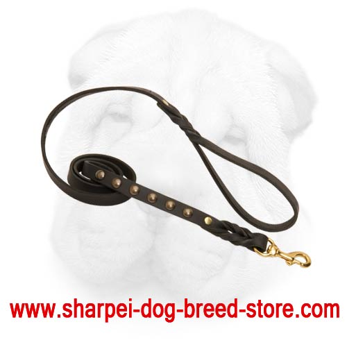Stylish Leather Leash for Shar Pei Activities - Click Image to Close