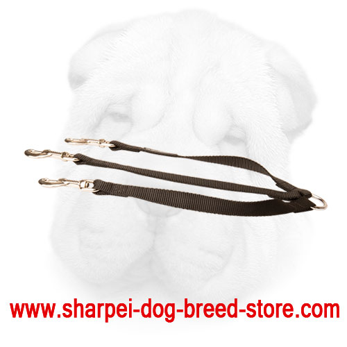 Nylon Shar Pei Puppy Triple Leash