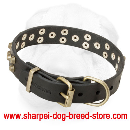 Leather Shar-Pei Collar Decorated with Brass Pyramids