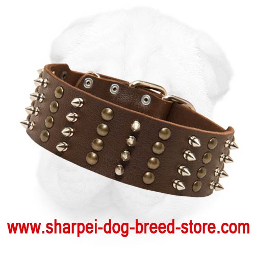 Extra Wide Shar Pei Leather Collar with Spikes and Studs Arranged in Alternate Columns