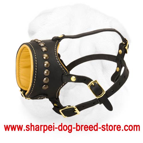 Royal Style Open Ended Everyday Muzzle for Shar Pei