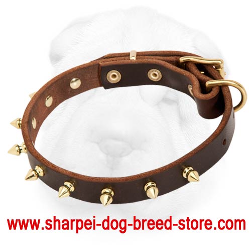Creative Shar-Pei Collar with Brass Spikes