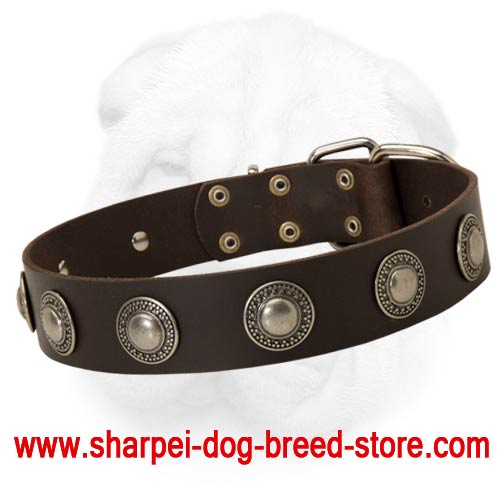 Exquisite Wide Leather Collar with Royal Silver Plated Ornament for Shar Pei