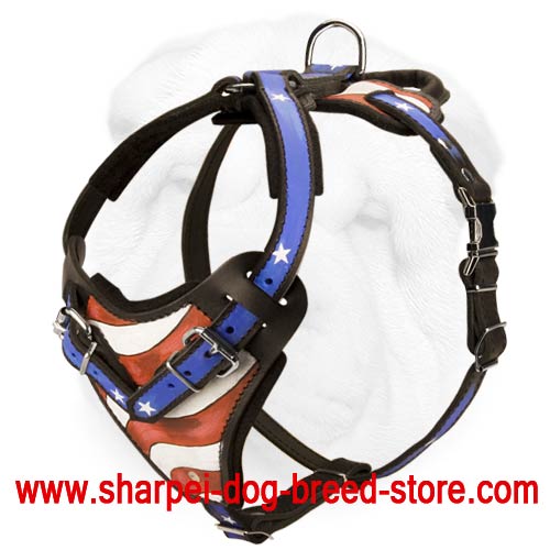 Catching Heavy Duty Leather Harness for Shar Pei Breed