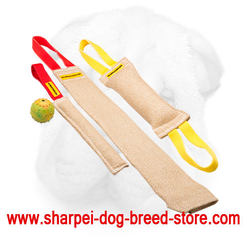 Sharpei Puppy Training Set With Great Training Toy