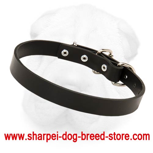 Fine Leather Shar Pei Collar for Everyday Use