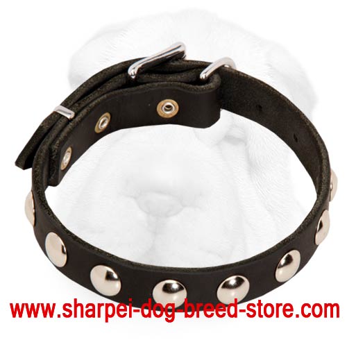 Decorated Shar-Pei Collar with Nickel Half-Ball Studs