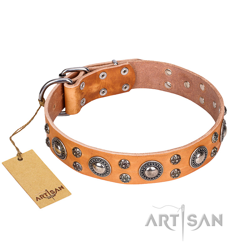 'Extra Sparkle' FDT Artisan Handcrafted Sharpei Tan Leather Dog Collar