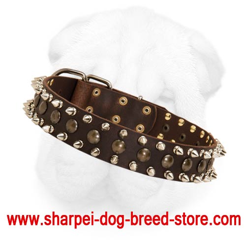 Extra Wide Shar Pei Leather Collar with Refined Spiked and Studded Decoration