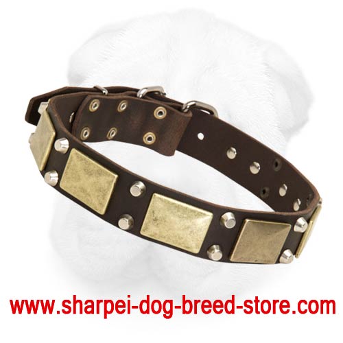 Royal Leather Collar with Plates and Truncated Studs for Shar Pei