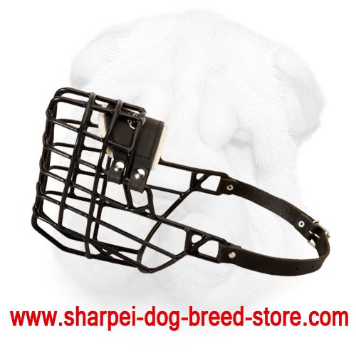 Great Air Flow Antifreeze Muzzle for Winter