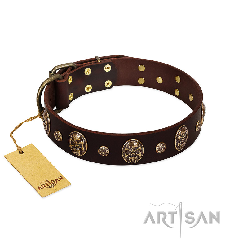 "Breaking the Horizon" FDT Artisan Brown Leather Sharpei Collar with Engraved Studs and Medallions