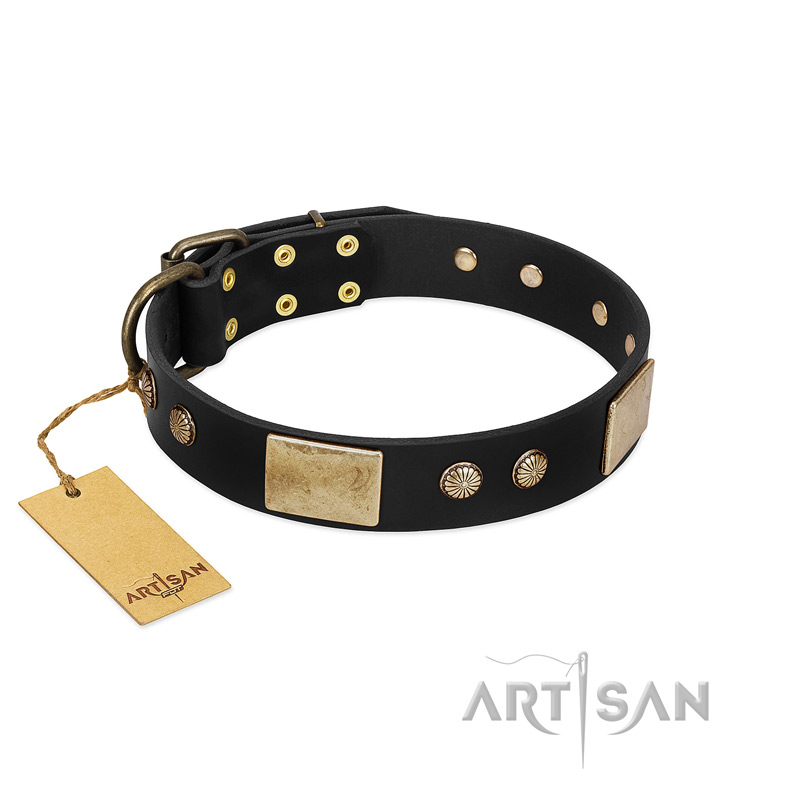 "Antique Gloss" FDT Artisan Black Leather Sharpei Collar with Bronze-like Plates and Small Studs