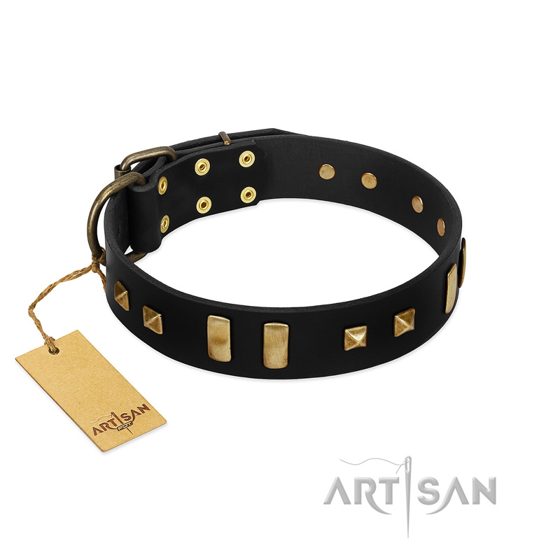 "Fit for Royalty" FDT Artisan Black Leather Sharpei Collar with Plates and Small Square Studs