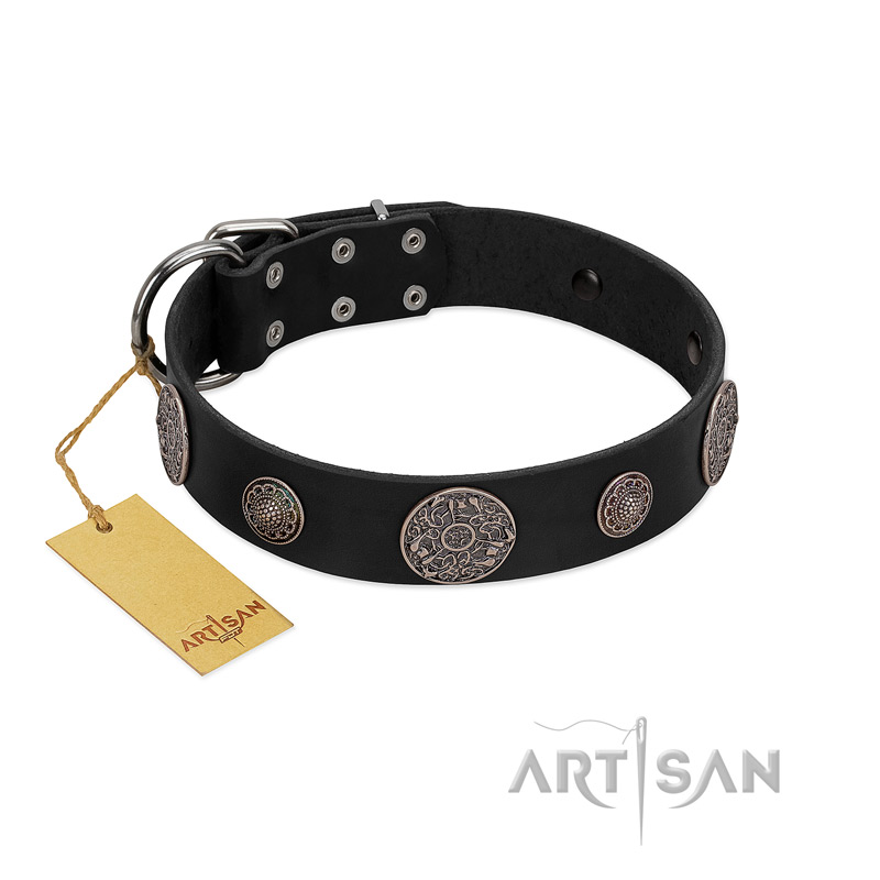 "Ad Infinitum" Durable FDT Artisan Black Leather Sharpei Collar with Chrome Plated Brooches