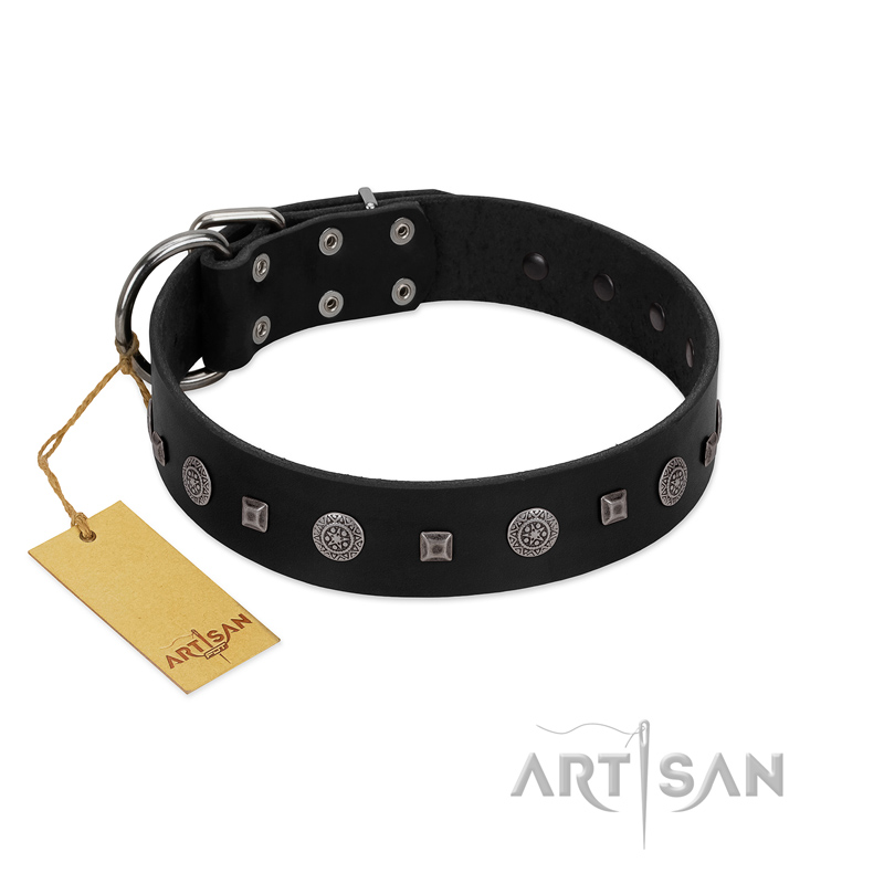 "Mr. Elegance" Designer FDT Artisan Black Leather Sharpei Collar with Silver-Like Studs