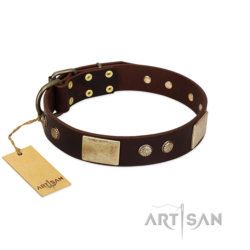 "Middle Age" FDT Artisan Brown Leather Sharpei Collar with Old Bronze-Plated Engraved Flowers and Large Plates