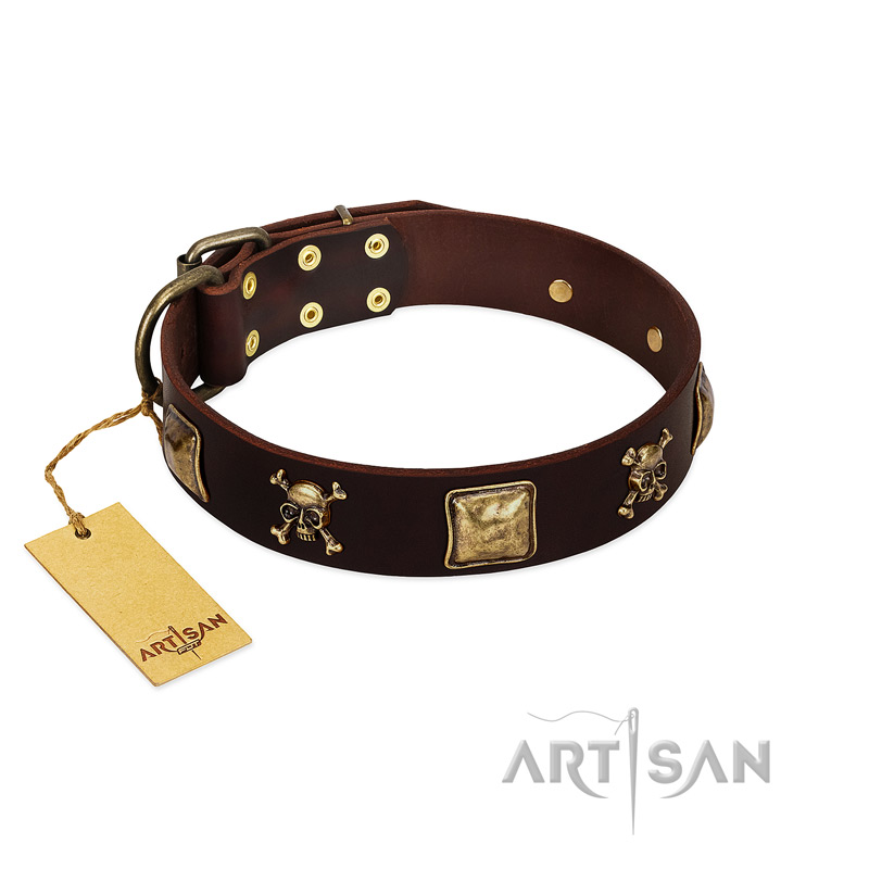 "Crazy Pirate" FDT Artisan Brown Leather Sharpei Collar with Old Bronze-Plated Skulls and Plates - Click Image to Close