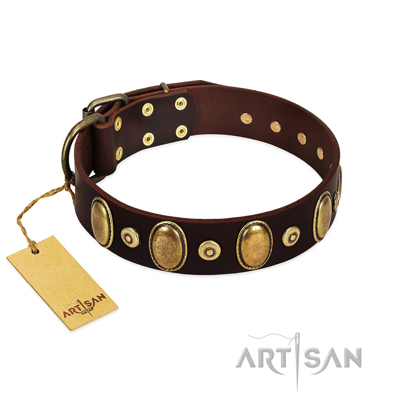 "Retro Pusle" FDT Artisan Brown Leather Sharpei Collar with Old Bronze-like Studs and Oval Brooches