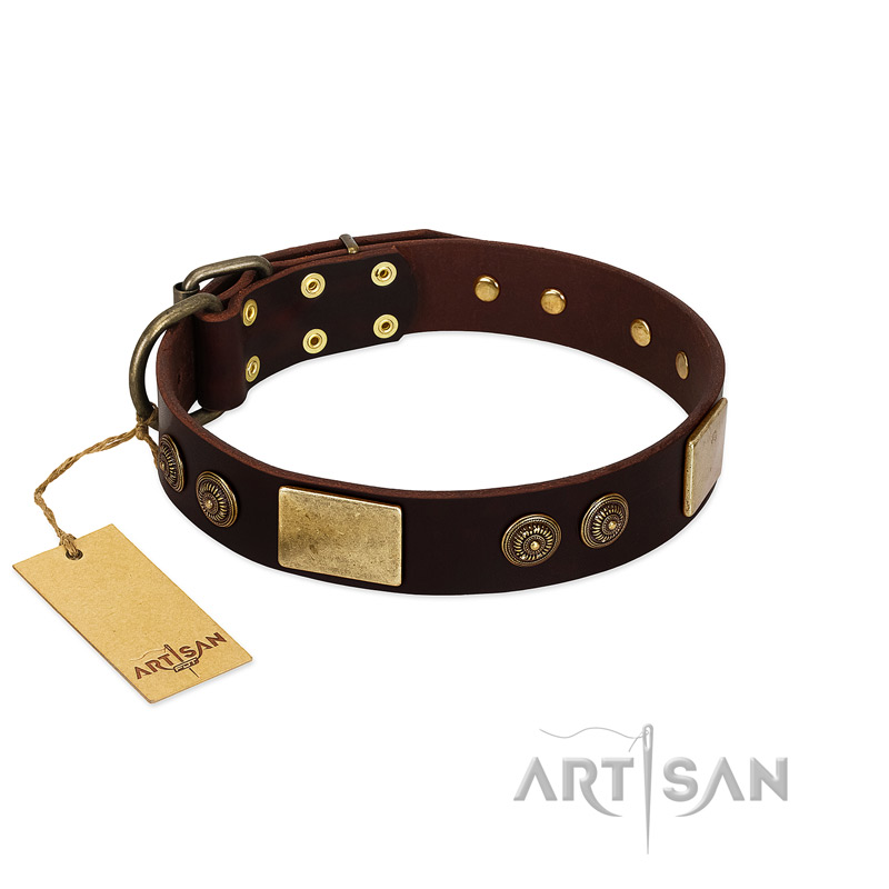 "Bow-Wow Effect" FDT Artisan Brown Leather Sharpei Collar with Plates and Ornate Studs