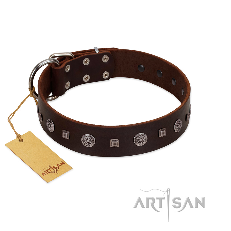"Pure Sensation" Exclusive FDT Artisan Brown Leather Sharpei Collar with Fancy Brooches and Studs