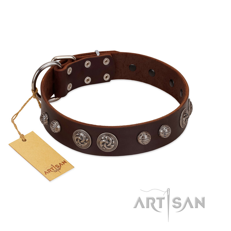 "Choco Brownie" FDT Artisan Brown Leather Sharpei Collar Adorned with Silver-Like Conchos