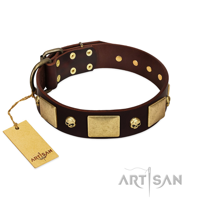 "Heavy Metal" FDT Artisan Brown Leather Sharpei Collar with Old Bronze-like Skulls and Plates