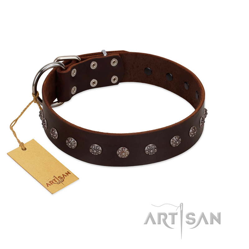 "Graceful Classic" Mod FDT Artisan Brown Leather Sharpei Collar