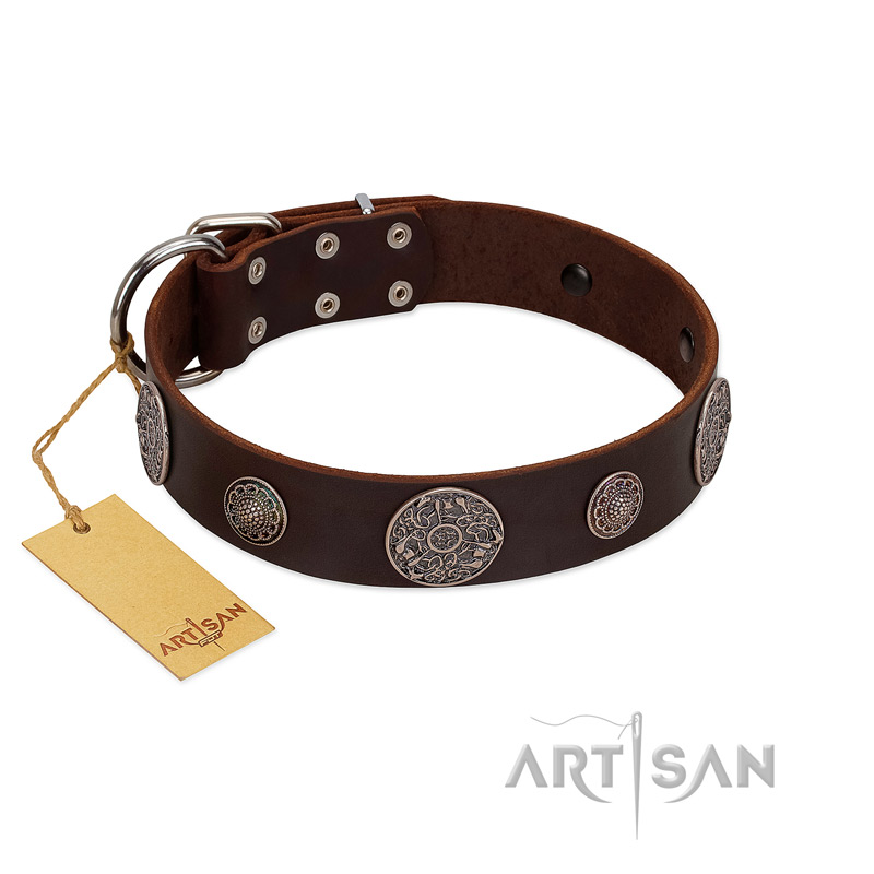 "Flashy Woof" FDT Artisan Brown Leather Sharpei Collar with Chrome Plated Brooches - Click Image to Close