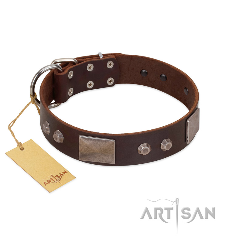 "Stone Stars" Stylish Handmade FDT Artisan Brown Leather Sharpei Collar