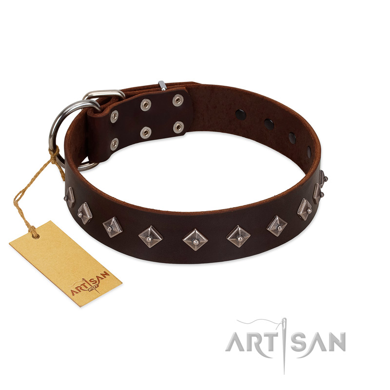 "Boundless Energy" Premium Quality FDT Artisan Brown Designer Leather Sharpei Collar with Small Pyramids