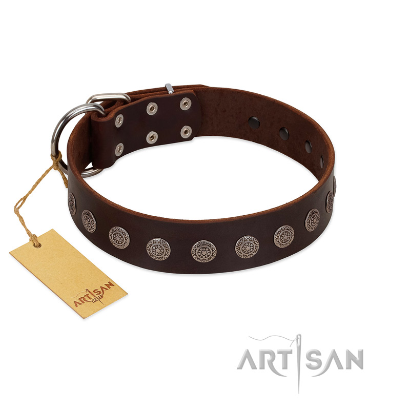 "Starry-Eyed" Best Quality FDT Artisan Brown Designer Leather Sharpei Collar with Small Plates