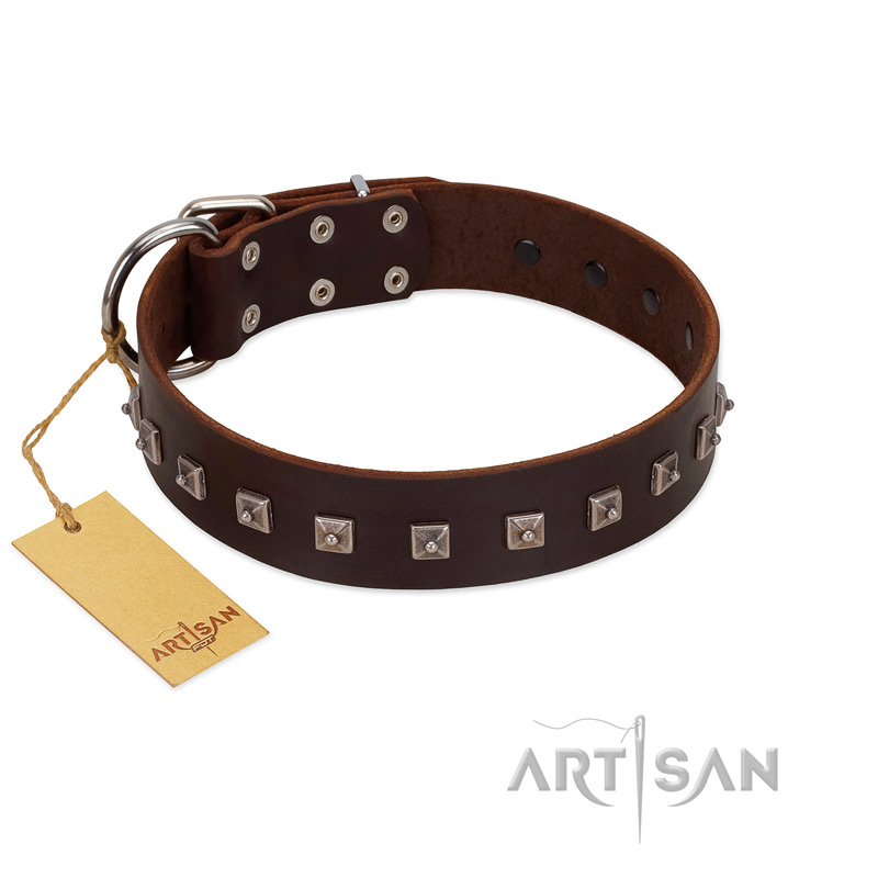 "Kingly Grace" FDT Artisan Brown Leather Sharpei Collar with Silver-like Dotted Studs
