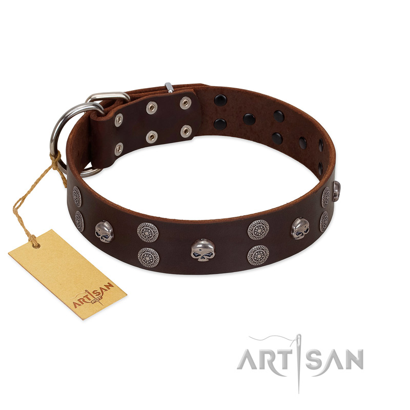 "Skull Valley" Handcrafted FDT Artisan Brown Leather Sharpei Collar with Skulls