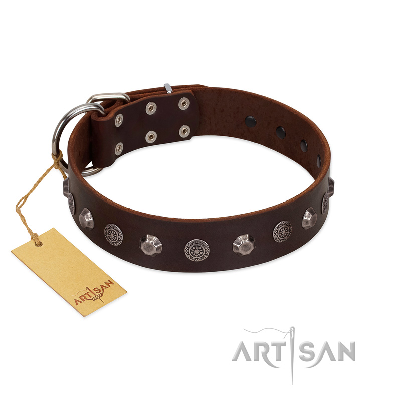 "Dark Chocolate" Handmade FDT Artisan Brown Leather Sharpei Collar with Studs