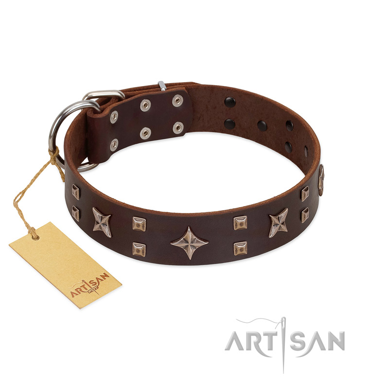 "Stars in Sands" Modern FDT Artisan Brown Leather Sharpei Collar with Studs and Stars