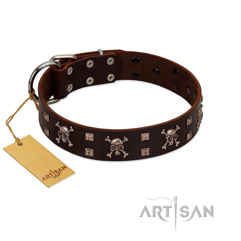 "Menacing Allure" FDT Artisan Brown Leather Sharpei Collar Embellished with Silvery Crossbones and Square Studs