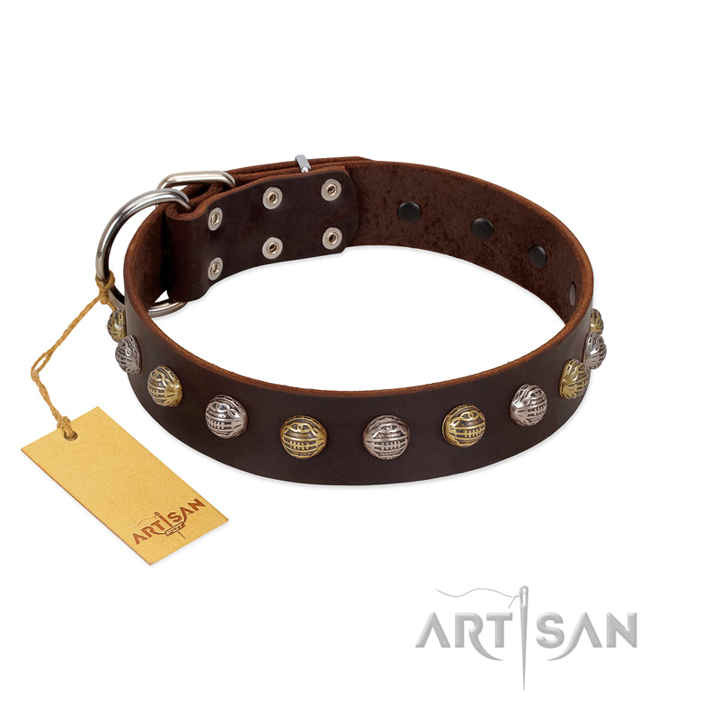 "Gape Buster" FDT Artisan Brown Leather Sharpei Collar with One Row of Studs