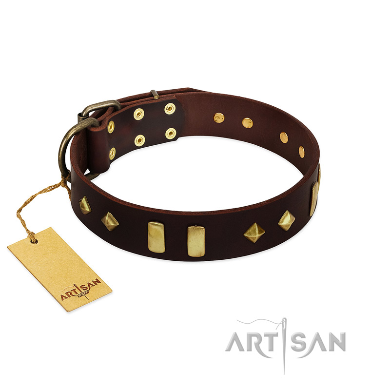 "Blinking Illusion" FDT Artisan Brown Leather Sharpei Collar with Old Bronze-like Studs and Plates