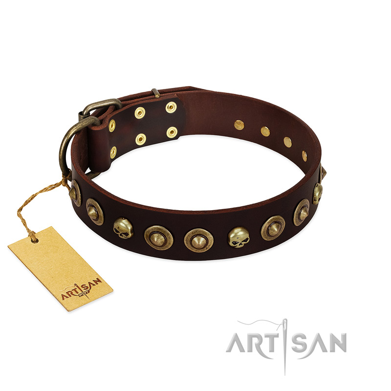 "Street Fashion" FDT Artisan Brown Leather Sharpei Collar Adorned with Circles and Skulls