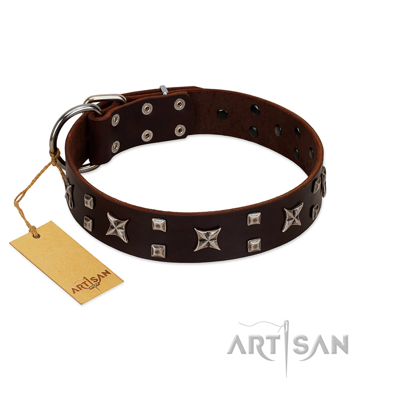 "Bigwig Woof" FDT Artisan Brown Leather Sharpei Collar with Chrome Plated Stars and Square Studs