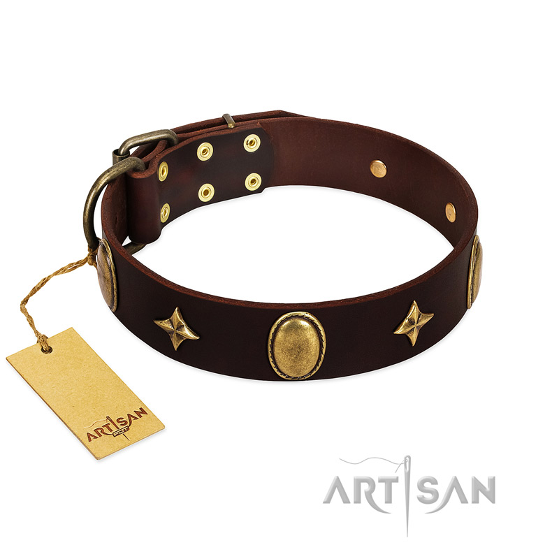 "Victory and Laurels" FDT Artisan Brown Leather Sharpei Collar with Ovals and Stars