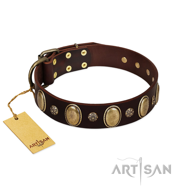 "Bronze Idol" FDT Artisan Brown Leather Sharpei Collar with Eye-catching Ovals and Small Studs