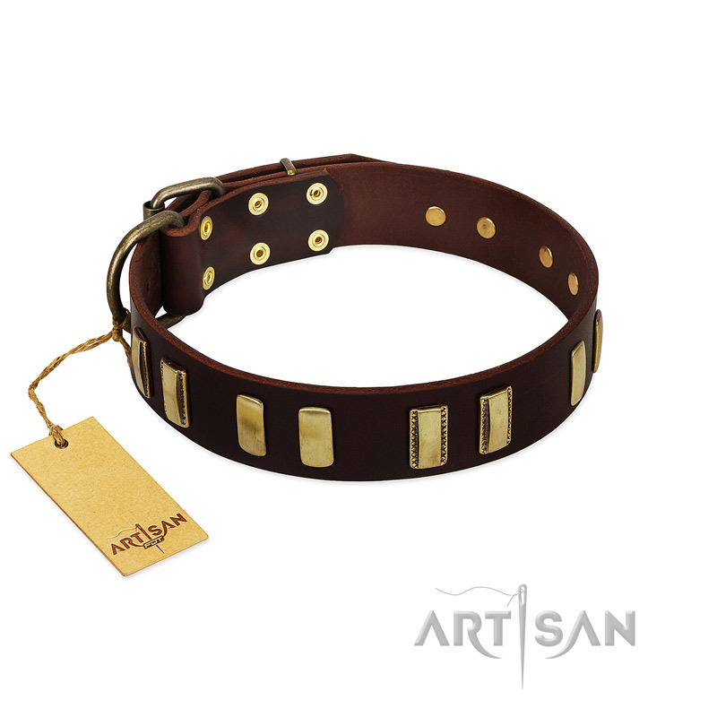 "Peace and Harmony" FDT Artisan Brown Leather Sharpei Collar with Plates
