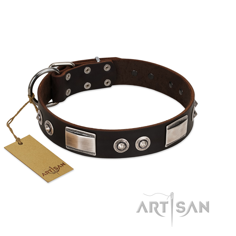 "Baller Status" FDT Artisan Brown Leather Sharpei Collar Adorned with a Set of Chrome Plated Studs and Plates