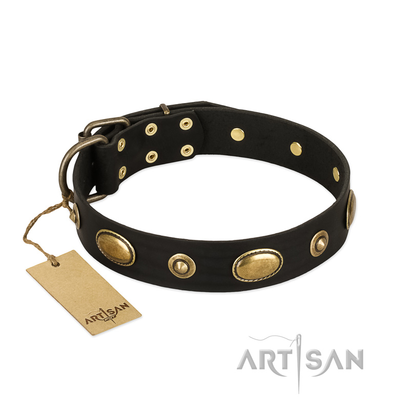 "Eye-Catcher" FDT Artisan Black Leather Sharpei Collar for Walking in Style