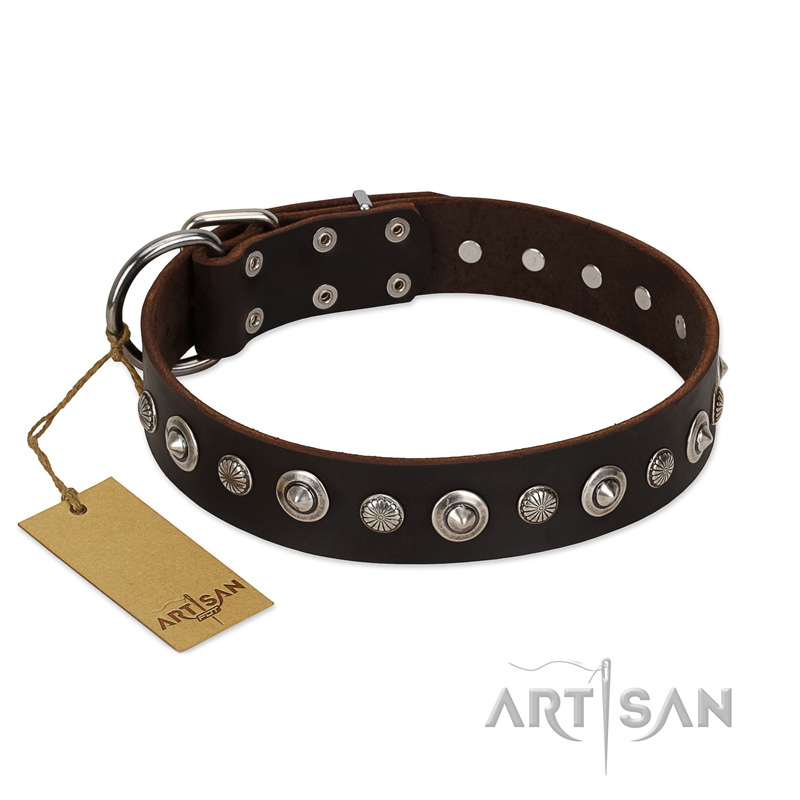 "Gorgeous Shields" FDT Artisan Brown Leather Sharpei Collar with Old Silver-like Circles and Small Camomiles